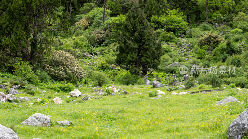 四川西部阿坝理县毕棚沟景区的迷人景色