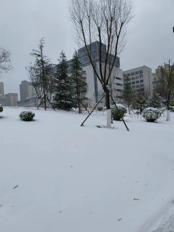 雪中城市建筑与树木的景象