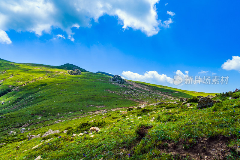 夏季蓝天白云绿色高山草甸群山大气风光