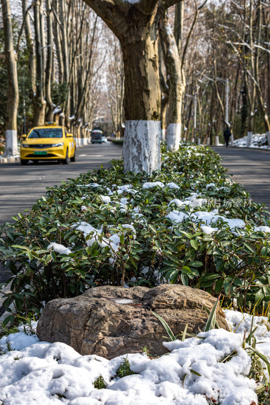 雪后的南京钟山风景区灵谷景区