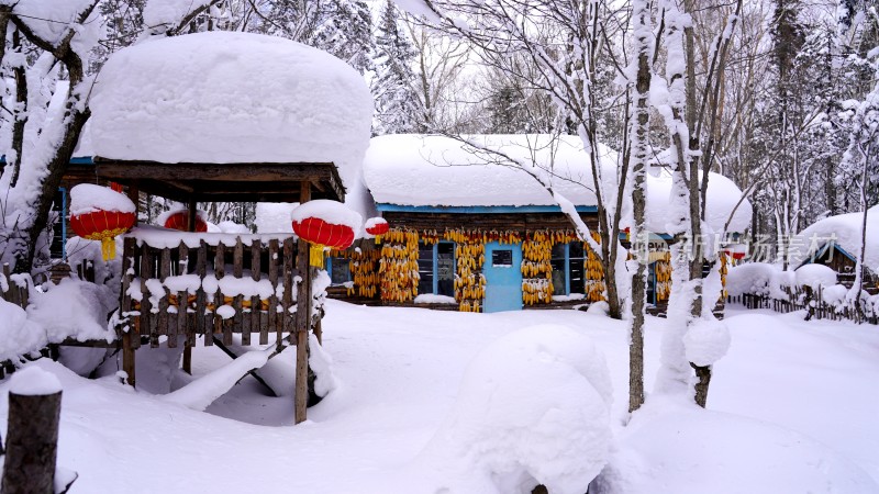 林海雪原