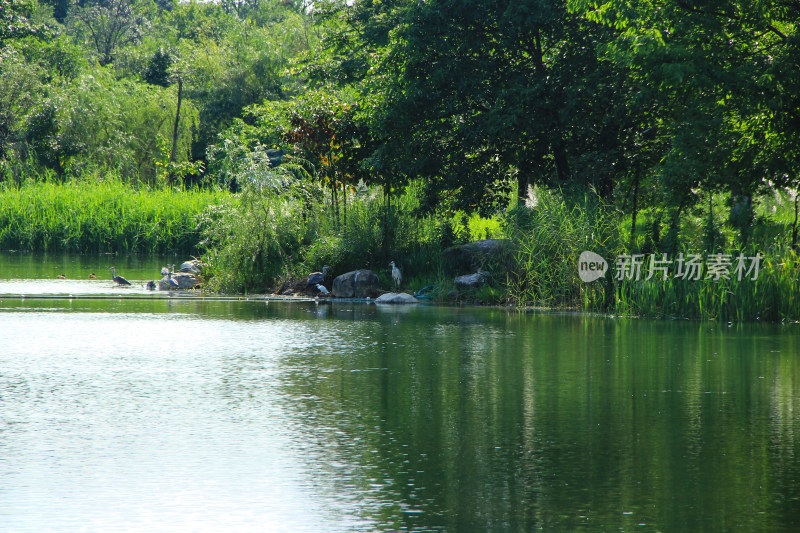 成都锦城公园湿地公园环境