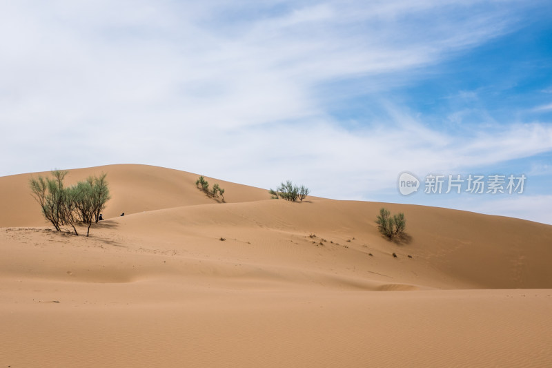 晴朗天空下 宁夏沙湖沙漠的景观