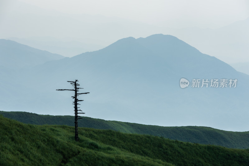 江西萍乡武功山高山草甸自然风光