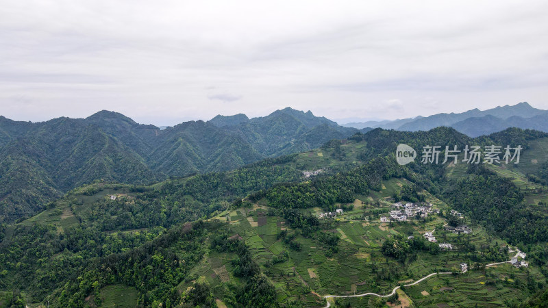 大山山峰农村农业农民茶园