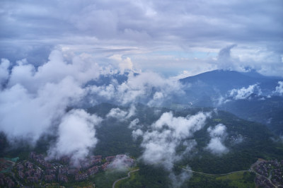 峨眉山的原始森林