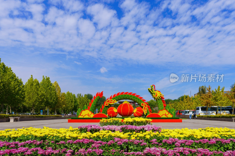 青州九龙屿风景区金秋菊花展外景