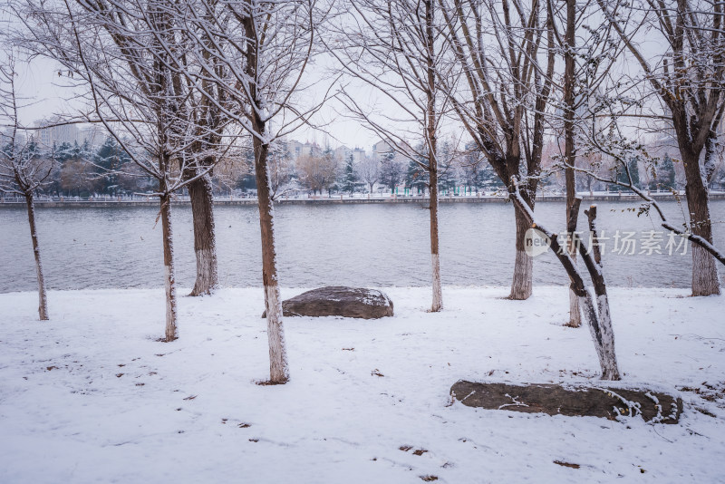 下雪了城市公园自然风景