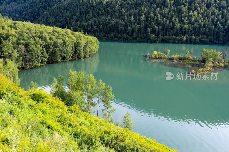 新疆喀纳斯卧龙湾森林河流自然风光