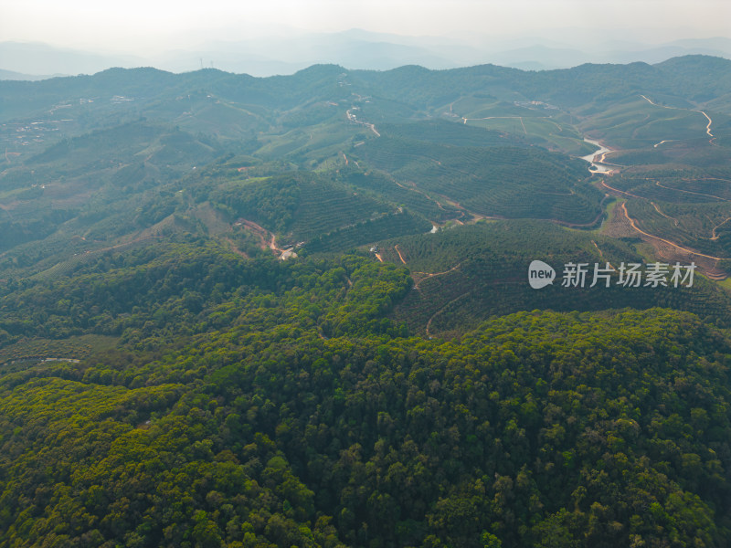 航拍山脉山林