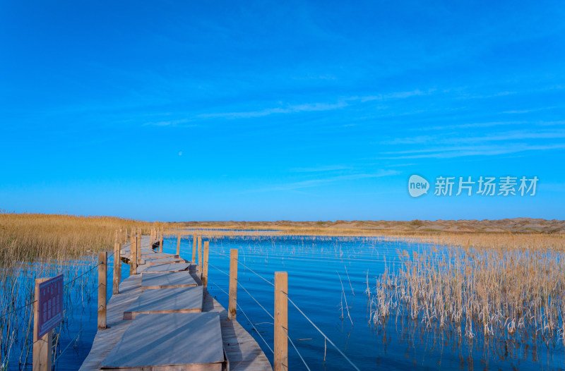 内蒙古额济纳旗居延海景区湖泊芦苇木栈道