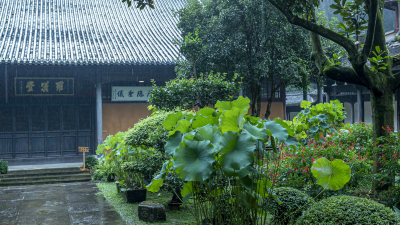 天台山千年古刹国清寺风景