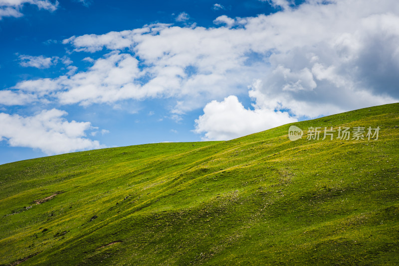 青翠山峦下的广阔草原