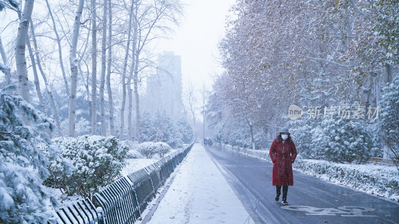 风雪中的城市道路