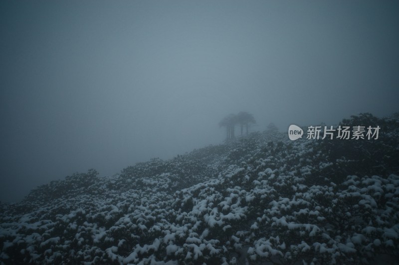 雪天被雪覆盖的小屋与步道