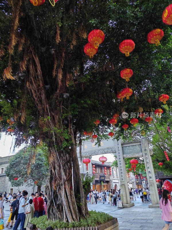 古街大树下悬挂红灯笼场景