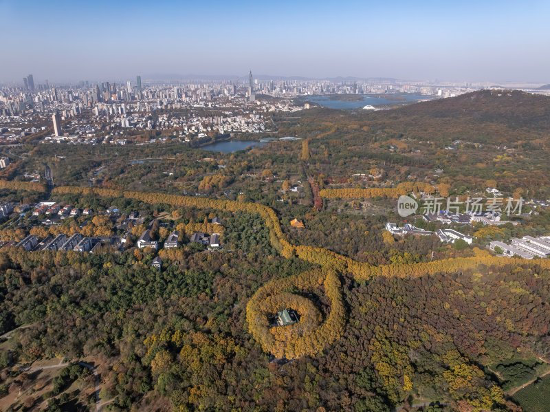 江苏南京中山陵美玲宫浪漫金秋项链日出航拍