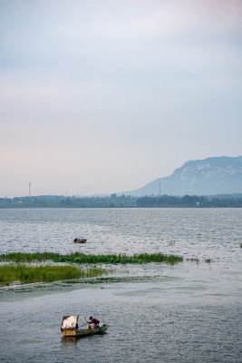 夏天的邹城孟子湖湿地湖泊自然景观