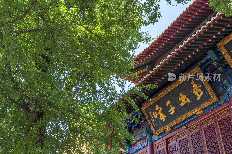 武汉洪山区宝通禅寺风景