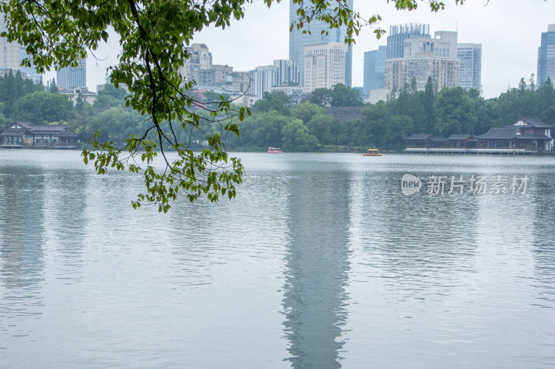 南京玄武湖公园夏日风光