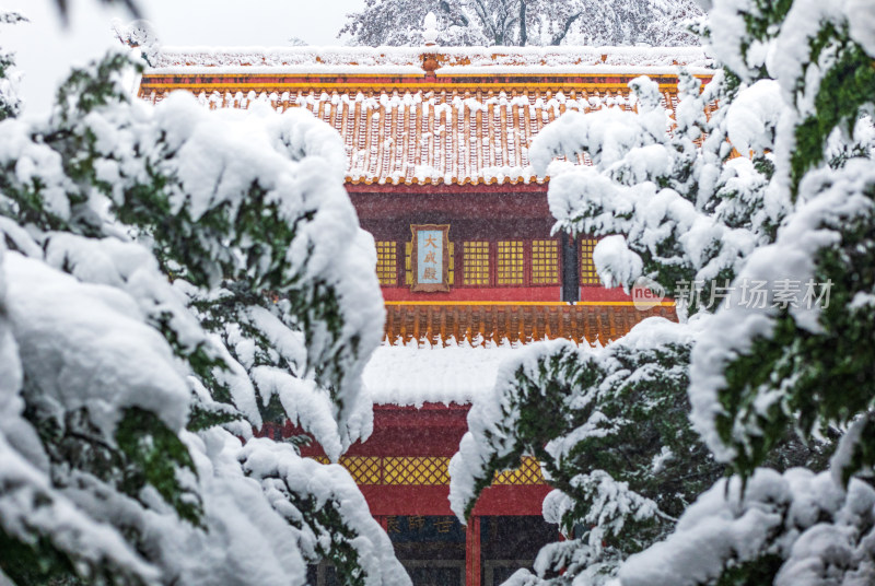 长沙岳麓书院雪景