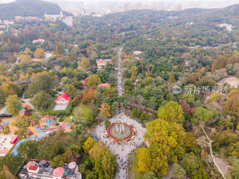 青岛中山公园航拍全景鸟瞰