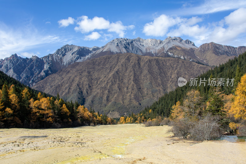 四川阿坝黄龙景区雪山秋色