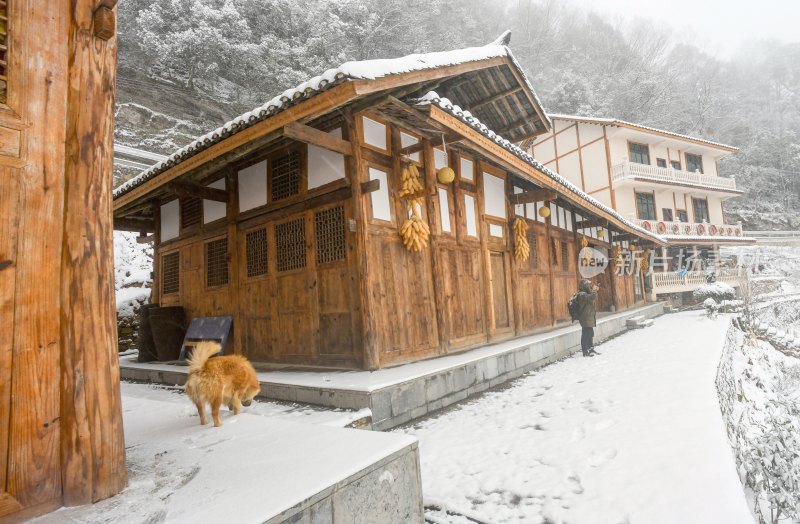 重庆酉阳：千氹田边飞白雪