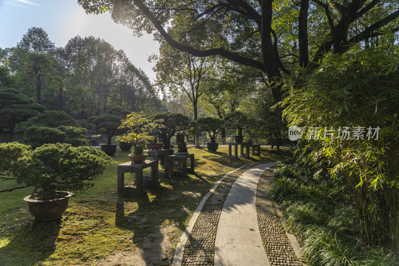 杭州西子湖畔杭州花圃风景