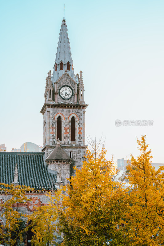 宁波江北天主堂与秋天的银杏