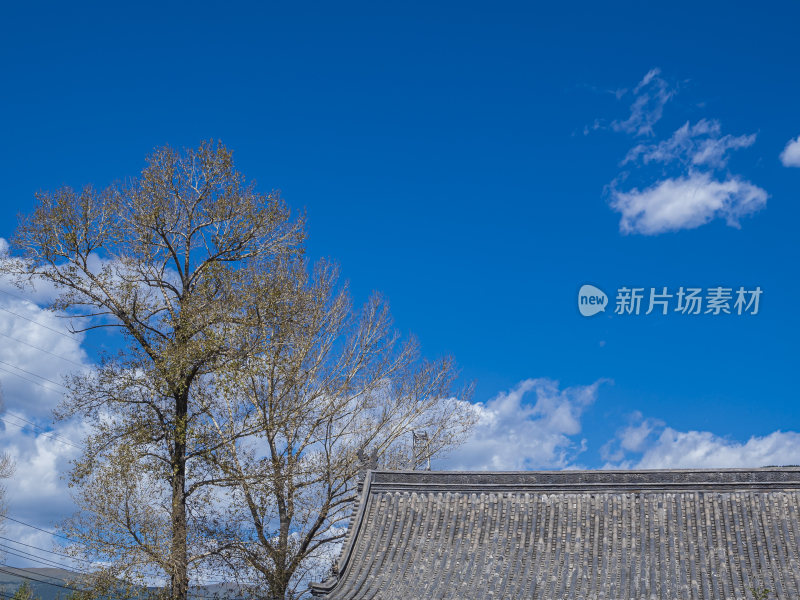 山西五台山普化寺禅院早上风景