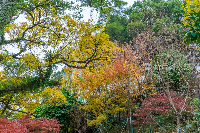 福州乌山历史风貌区秋景