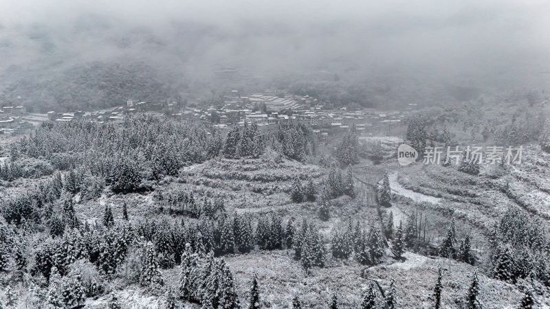 重庆酉阳：大雪纷飞赏雪忙