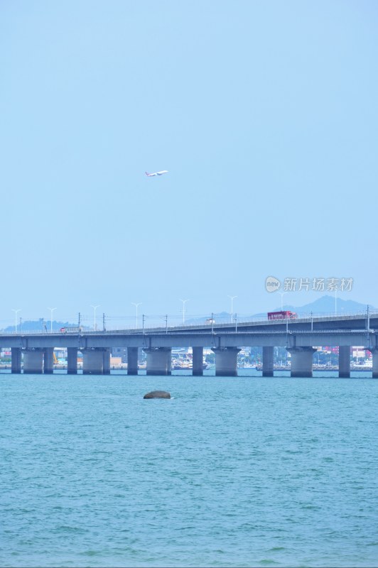 厦门十里长堤夏日风光