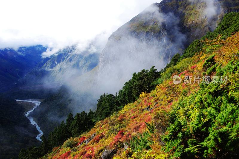 西藏噶玛沟山水自然风景