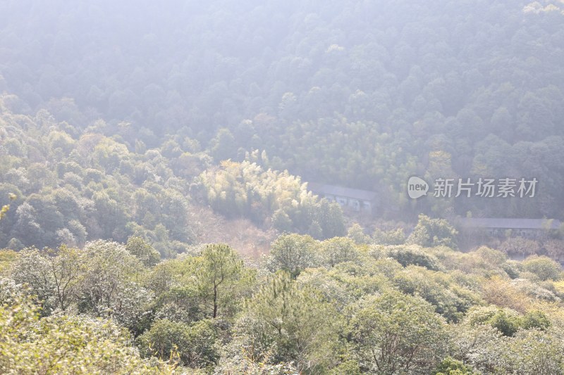 山林植被俯瞰景象