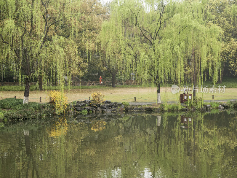 杭州西湖花港观鱼风景