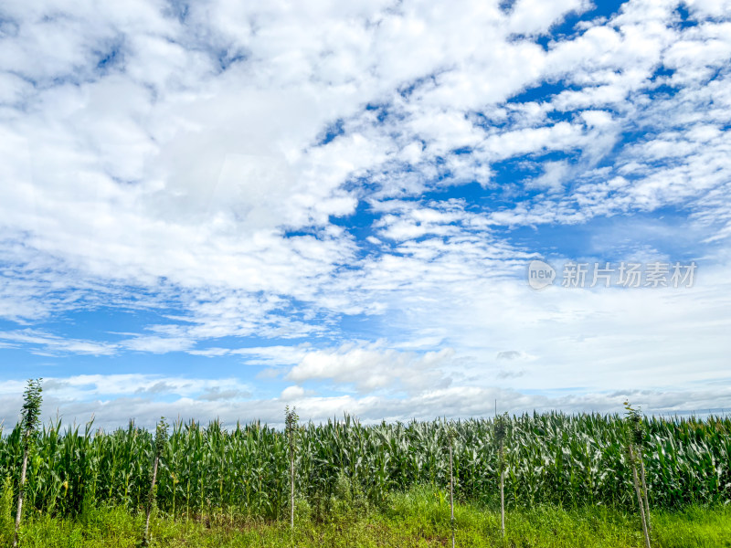 黑龙江镜泊湖国家级风景名胜区自然风光