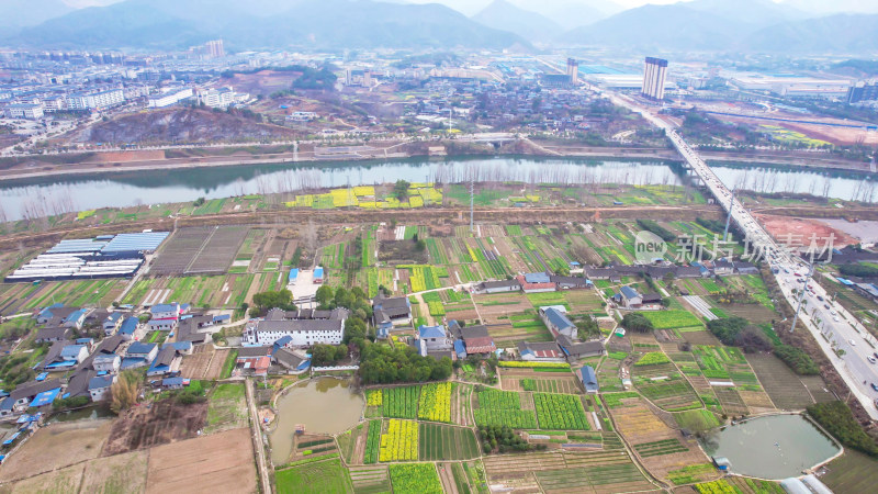 南方美丽乡村田园油菜花种植航拍