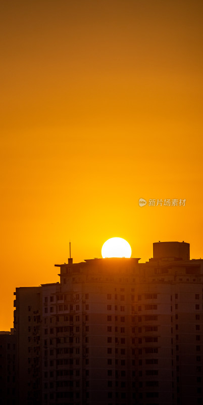 黄昏夕阳青岛小麦岛公园自然风光与城市景观