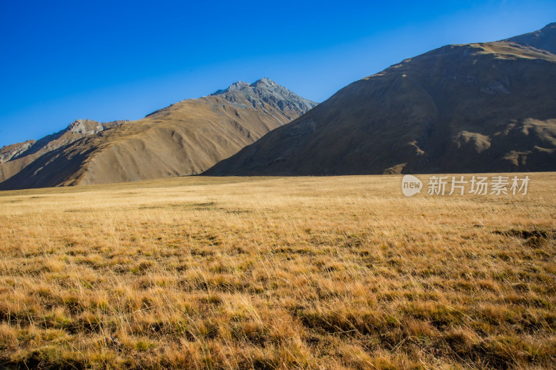 秋天荒凉高山草原自然风景