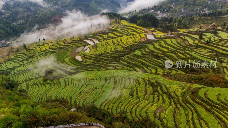 重庆酉阳：青山雾漫别样美