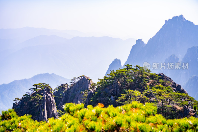 安徽黄山风景区自然风光