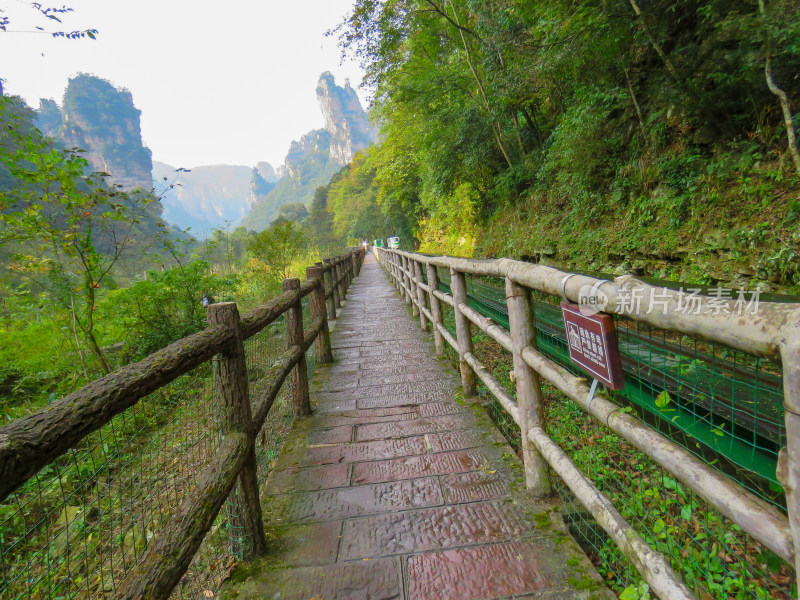 湖南张家界武陵源国家森林公园旅游风光