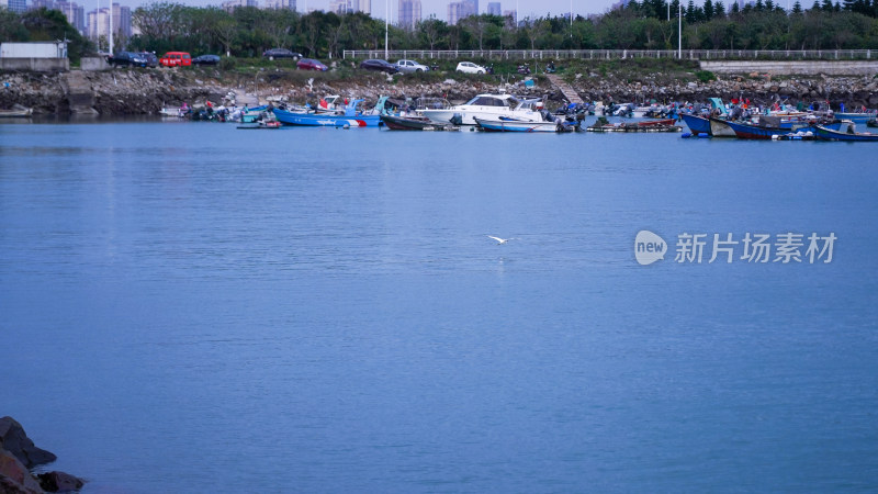 海边大海平潭海鸟渔船