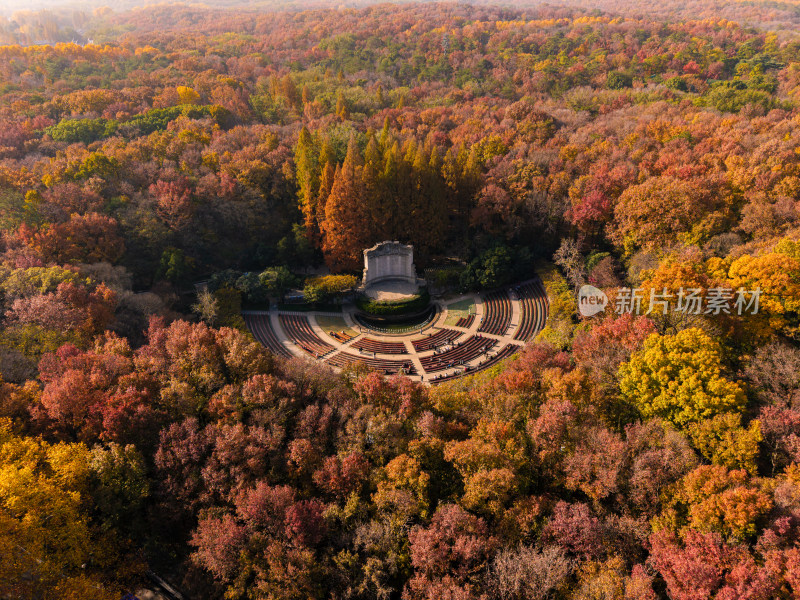 航拍秋季树林中的音乐台
