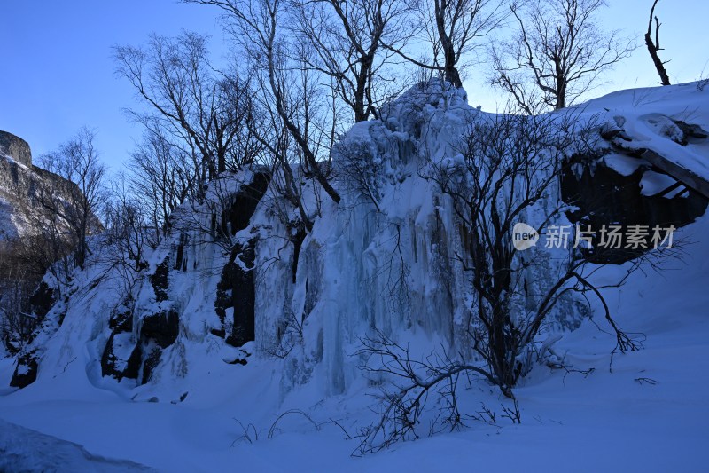 冰雪覆盖树木岩石形成独特景观