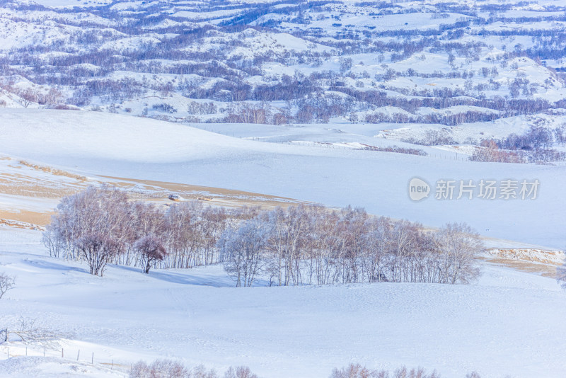 冬天雾凇树挂雪景雪林森林