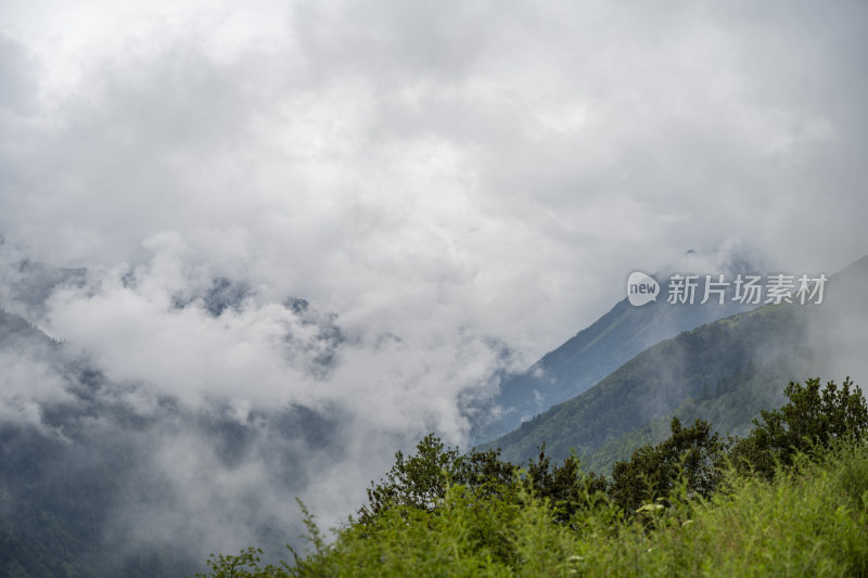 四川四姑娘山双桥沟自然风景