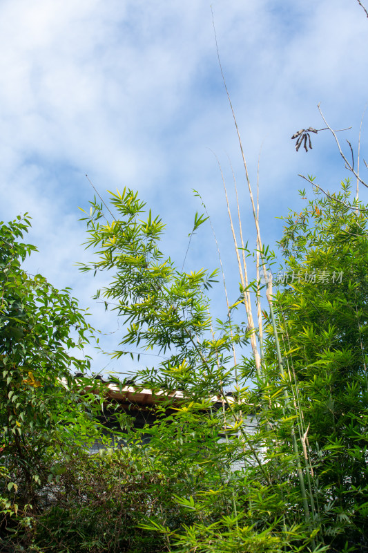 乡村老房风景